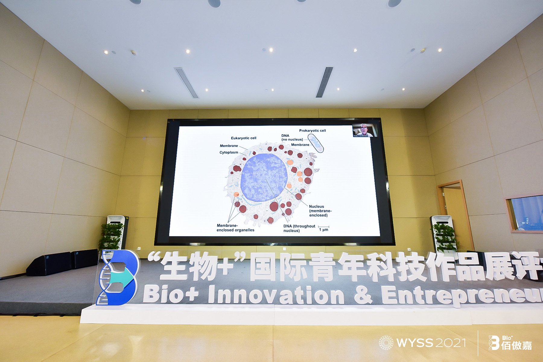 ZؐW(xu)t(y)W(xu)m-xv