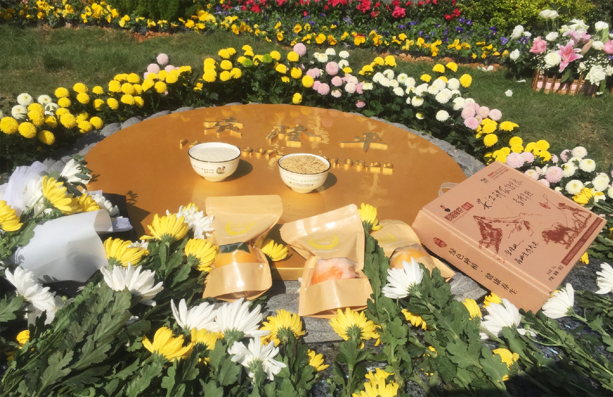 袁隆平等28位院士2021年離我們而去