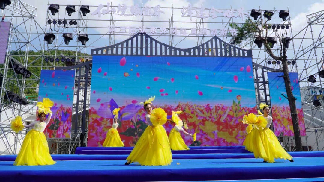 張家界網(wǎng)紅直播旅游節(jié)開幕式演出