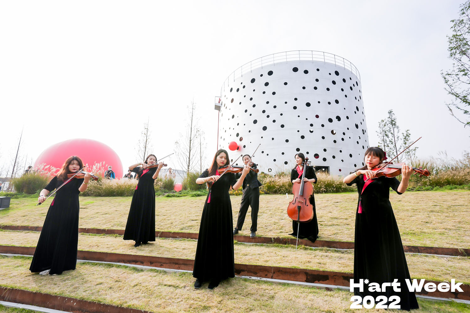 音樂藝術(shù)表演