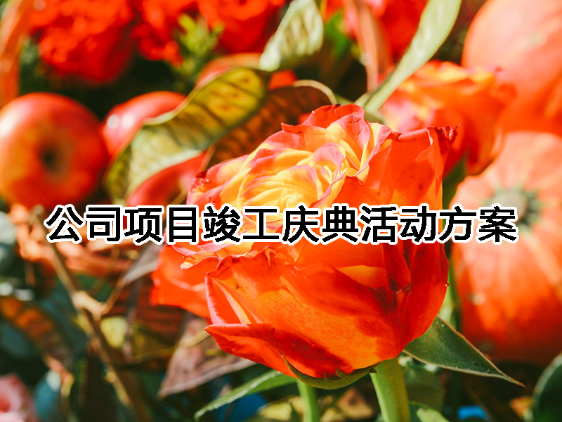 公司項(xiàng)目竣工慶典活動(dòng)方案